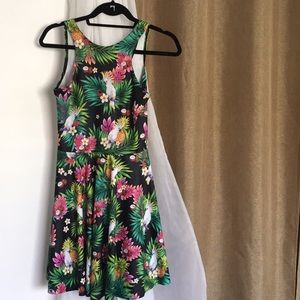 Tropical Birds Blackmilk Skater dress
